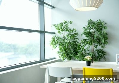 立博体育中文版:桌游中的反应与洞察力进阶指南