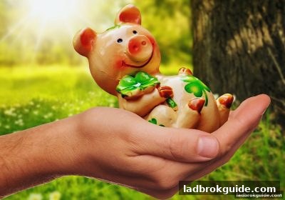 立博体育中文版深度解析：快乐十分高频选号技巧与实战心得
