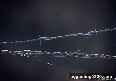 立博体育中文版账号冻结全解：识别原因与高效申诉指南