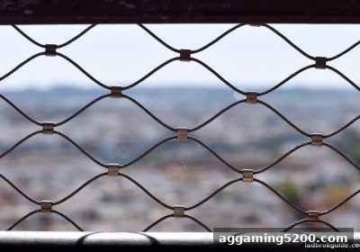 立博体育中文版视角：网络娱乐平台合规新趋势与用户安全指南